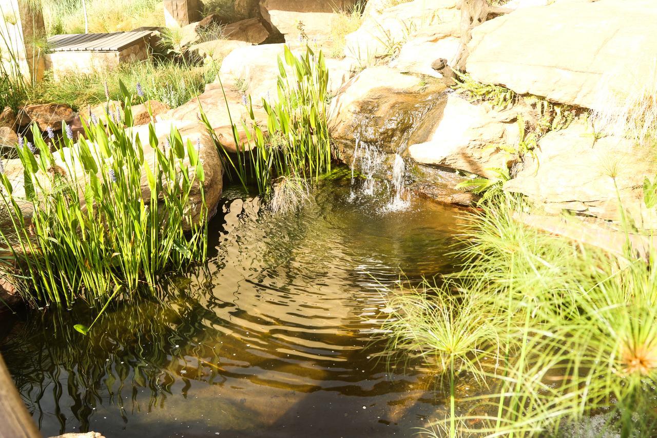 Heidelberg Kloof Lodge المظهر الخارجي الصورة